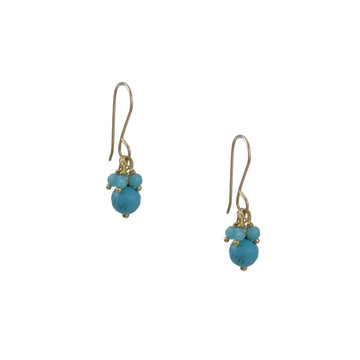 Debbie Fisher - Turquoise with Amazonite Fringe Drop Earrings