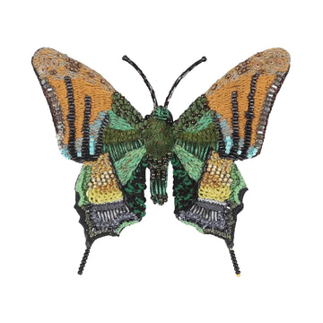 Emperor of India Butterfly Brooch Pin